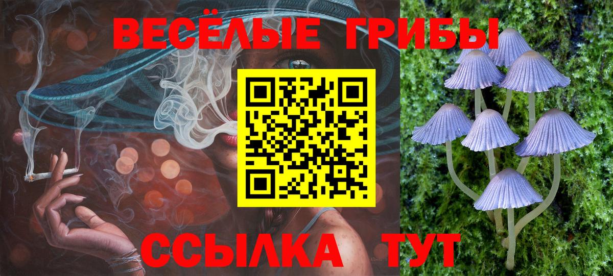 Галлюциногенные грибы Magic Shrooms  Галлюциногенные грибы Magic Shrooms  Обь  Вход с VPN 